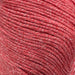 Sesia Jeans - 4Ply-Yarn-Wild and Woolly Yarns