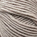 Sesia Nordica Italian Merino - 8ply-Yarn-Wild and Woolly Yarns