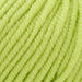 Sesia Nordica Italian Merino - 8ply-Yarn-Wild and Woolly Yarns