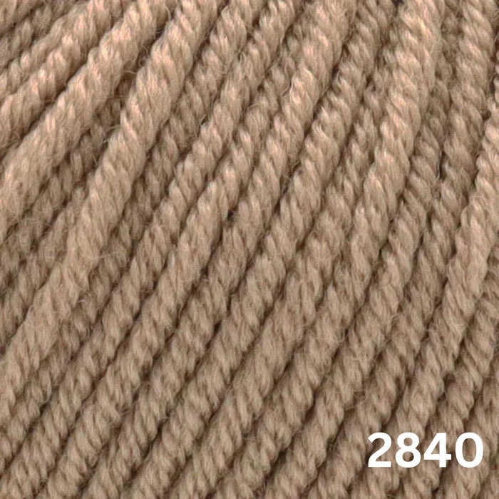 Sesia Nordica Italian Merino - 8ply-Yarn-Wentworth Distributors-Avana (2840)**-Wild & Woolly Yarns