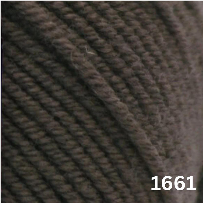 Sesia Nordica Italian Merino - 8ply-Yarn-Wentworth Distributors-Espresso Moss (1661)-Wild & Woolly Yarns