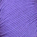 Sesia Nordica Italian Merino - 8ply-Yarn-Wentworth Distributors-Forgotten Purple (6532)-Wild & Woolly Yarns