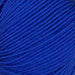 Sesia Nordica Italian Merino - 8ply-Yarn-Wentworth Distributors-Imperial Blue (2924)-Wild & Woolly Yarns