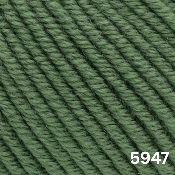 Sesia Nordica Italian Merino - 8ply-Yarn-Wentworth Distributors-Muschio (5947)-Wild & Woolly Yarns