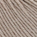 Sesia Nordica Italian Merino - 8ply-Yarn-Wild and Woolly Yarns