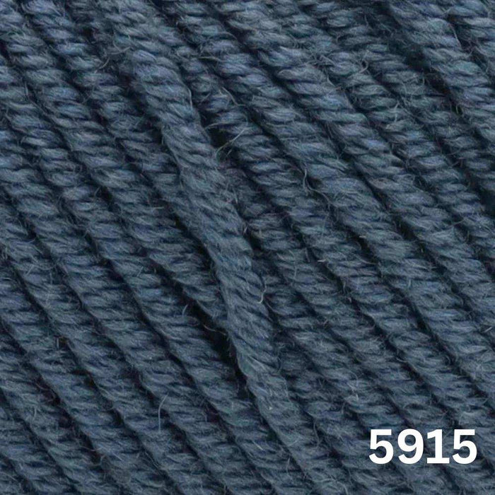 Sesia Nordica Italian Merino - 8ply-Yarn-Wentworth Distributors-Ombra (5915)**-Wild & Woolly Yarns