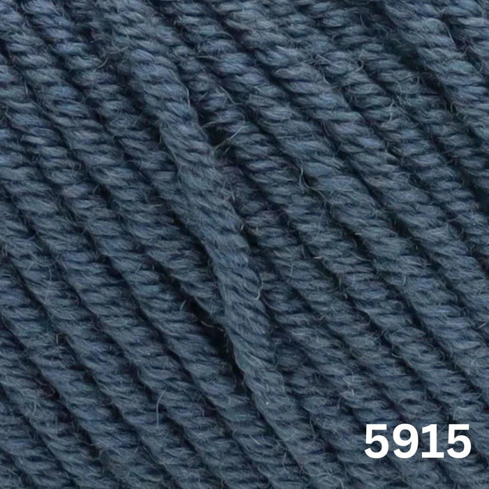 Sesia Nordica Italian Merino - 8ply-Yarn-Wentworth Distributors-Ombra (5915)**-Wild & Woolly Yarns