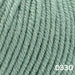 Sesia Nordica Italian Merino - 8ply-Yarn-Wentworth Distributors-Sage Green (0330)-Wild & Woolly Yarns