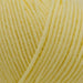 Sesia Nordica Italian Merino - 8ply-Yarn-Wild and Woolly Yarns