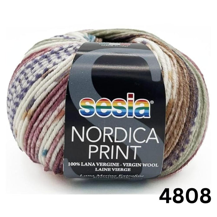 Sesia Nordica Prints - 8ply Italian Merino-Yarn-Wentworth Distributors-4808-Wild & Woolly Yarns