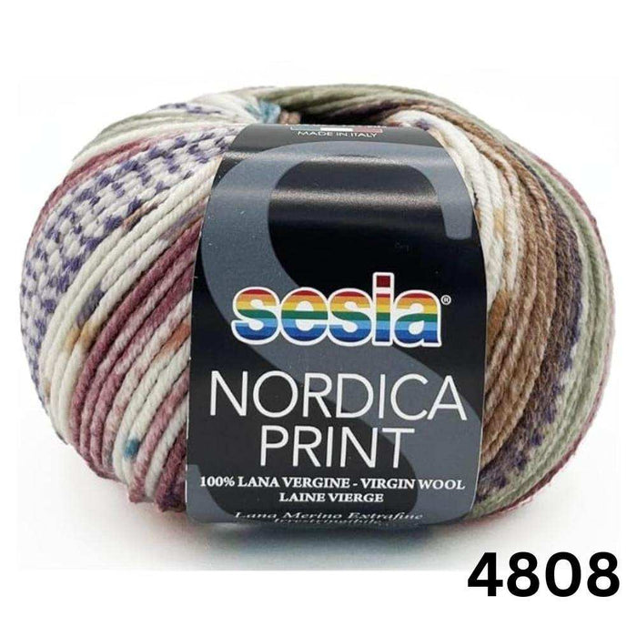 Sesia Nordica Prints - 8ply Italian Merino-Yarn-Wentworth Distributors-4808-Wild & Woolly Yarns