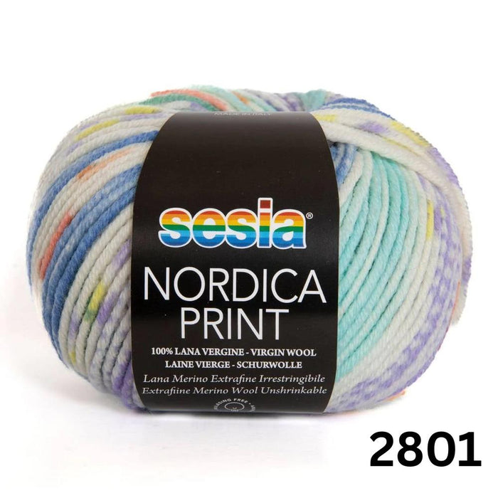 Sesia Nordica Prints - 8ply Italian Merino-Yarn-Wentworth Distributors-Meadow Breeze (2801)-Wild & Woolly Yarns