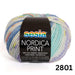 Sesia Nordica Prints - 8ply Italian Merino-Yarn-Wentworth Distributors-Meadow Breeze (2801)-Wild & Woolly Yarns