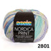 Sesia Nordica Prints - 8ply Italian Merino-Yarn-Wentworth Distributors-Meadow Breeze (2801)-Wild & Woolly Yarns