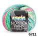 Sesia Nordica Prints - 8ply Italian Merino-Yarn-Wentworth Distributors-Tutti Frutti (6711)-Wild & Woolly Yarns
