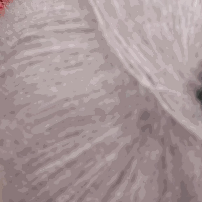 Sesia Vivienne 2Ply Silk Mohair-Yarn-Wentworth Distributors-Black (0067)-Wild & Woolly Yarns