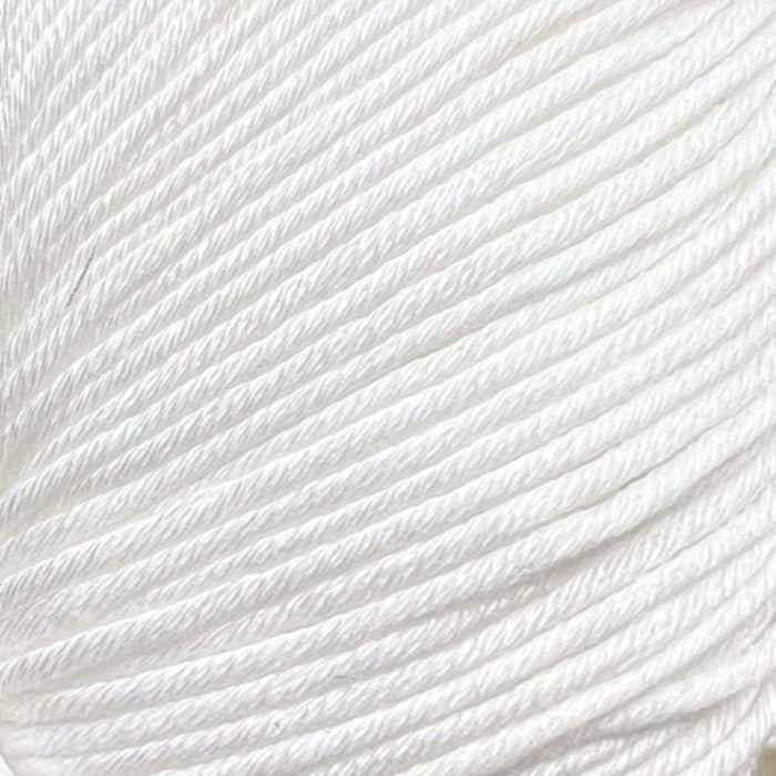 Sesia Windsurf Mercerised Cotton - 8Ply-Yarn-Wentworth Distributors-Silver (0012)-Wild & Woolly Yarns