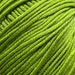 Sesia Windsurf Mercerised Cotton - 8Ply-Yarn-Wild and Woolly Yarns