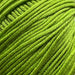 Sesia Windsurf Mercerised Cotton - 8Ply-Yarn-Wild and Woolly Yarns
