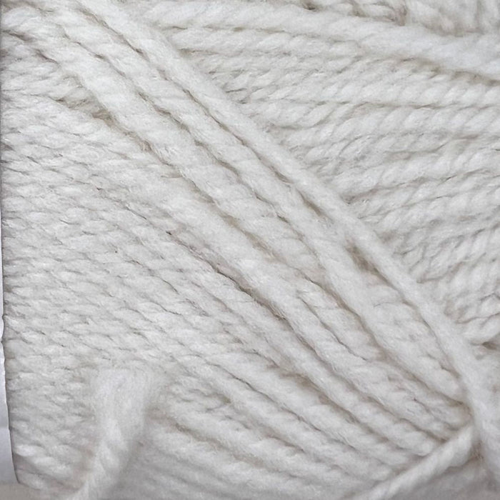 Wild Earth Eden 8 Ply | 100% New Zealand Polwarth Wool-Yarn-Wild Earth Yarns-Daisy-Wild & Woolly Yarns