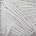 Wild Earth Eden 8 Ply | 100% New Zealand Polwarth Wool-Yarn-Wild Earth Yarns-Daisy-Wild & Woolly Yarns