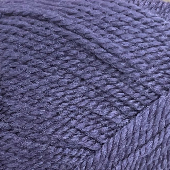 Wild Earth Eden 8 Ply | 100% New Zealand Polwarth Wool-Yarn-Wild Earth Yarns-Plum-Wild & Woolly Yarns