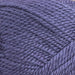 Wild Earth Eden 8 Ply | 100% New Zealand Polwarth Wool-Yarn-Wild Earth Yarns-Plum-Wild & Woolly Yarns