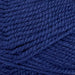 Wild Earth Eden 8 Ply | 100% New Zealand Polwarth Wool-Yarn-Wild Earth Yarns-Pukekohe-Wild & Woolly Yarns