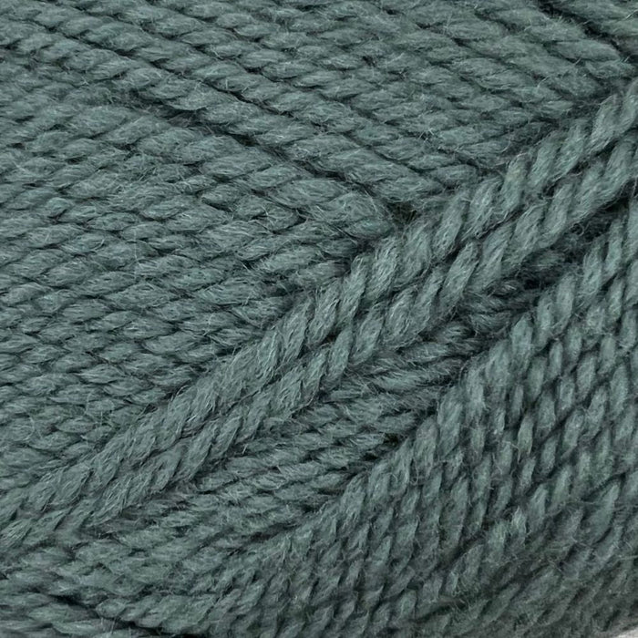 Wild Earth Eden 8 Ply | 100% New Zealand Polwarth Wool-Yarn-Wild Earth Yarns-Sage-Wild & Woolly Yarns