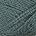Wild Earth Eden 8 Ply | 100% New Zealand Polwarth Wool-Yarn-Wild Earth Yarns-Sage-Wild & Woolly Yarns