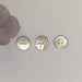 Agoya Shell Buttons - Made in Italy-buttons-Wild and Woolly Yarns