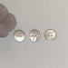 Agoya Shell Buttons - Made in Italy-buttons-Trendy Trims-15 mm (24L)-Wild & Woolly Yarns