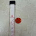 Agoya Shell Buttons - Orange (15mm)-buttons-Trendy Trims-Wild & Woolly Yarns