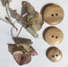 Round Wooden Buttons - Made in Italy-buttons-Wild and Woolly Yarns