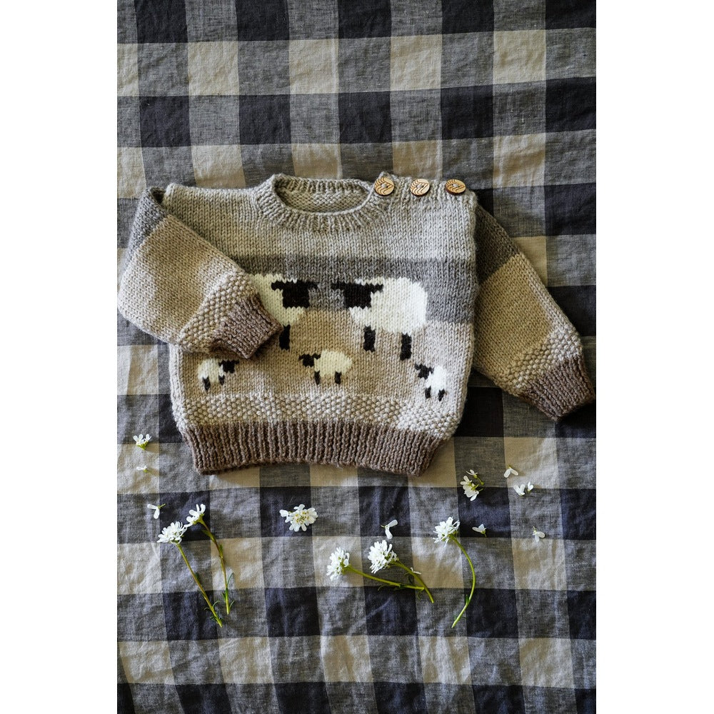 Front view of the sheep motifs and colour blocks on the baby sweater — Counting Sheep Sweater, Lisa F BC151.